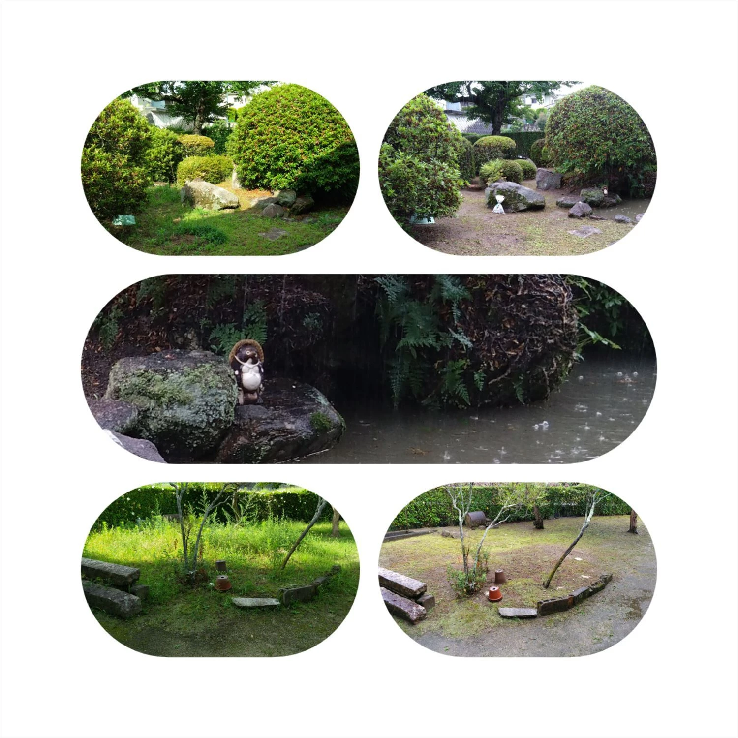 low_bg6