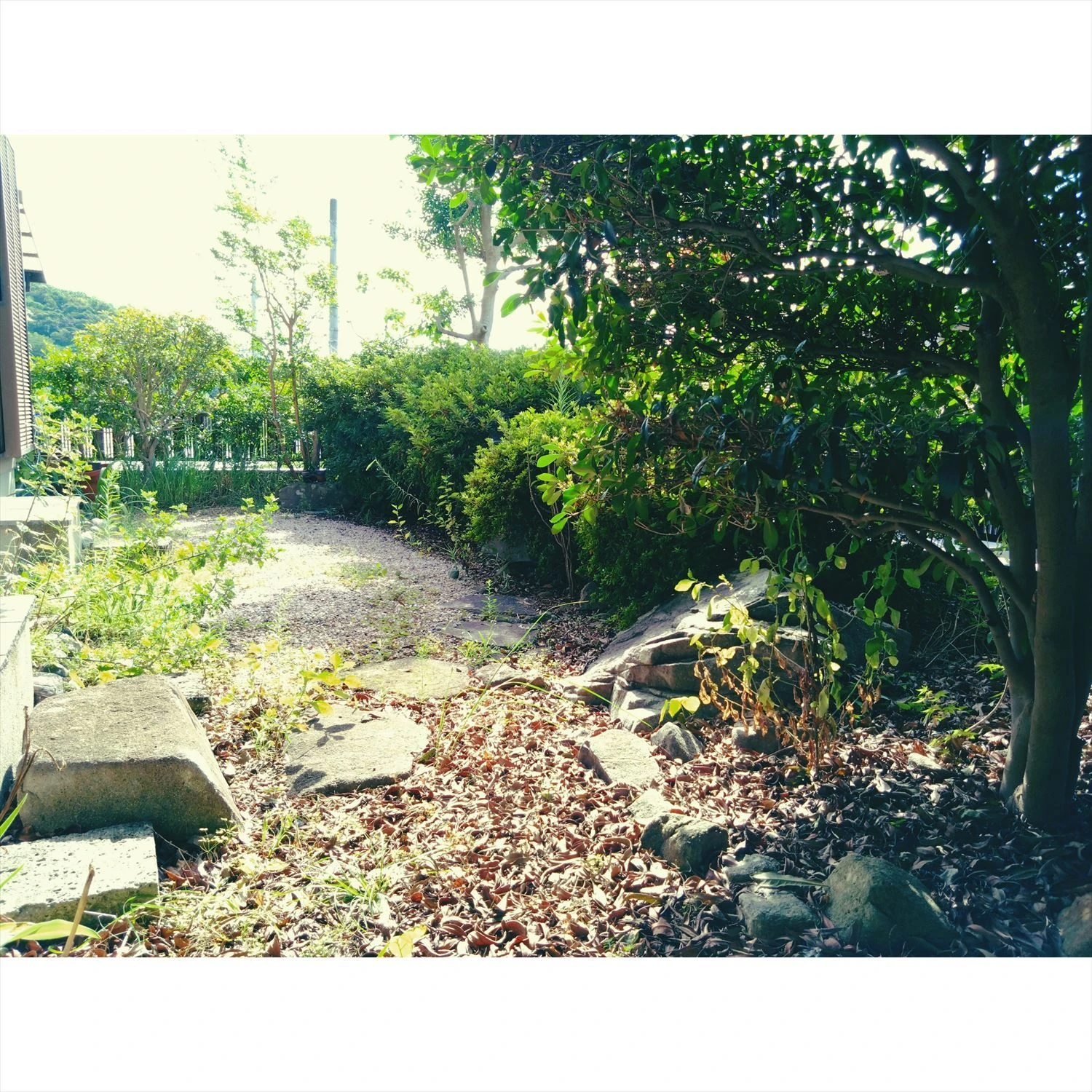 low_bg3