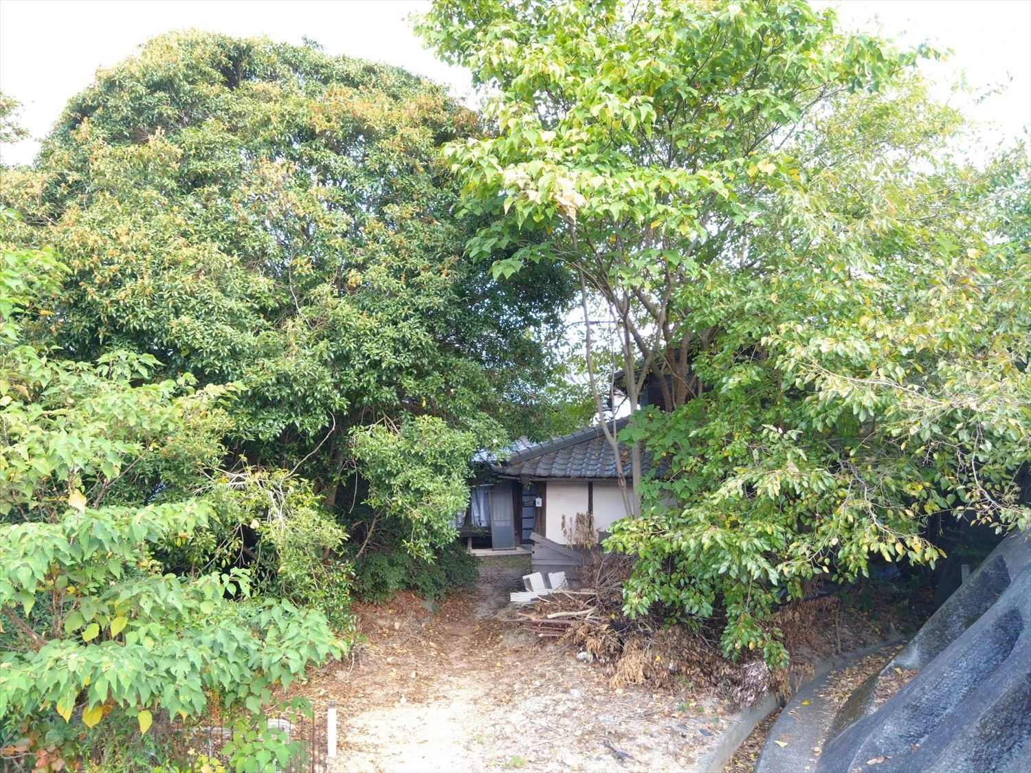 キラキラ 3