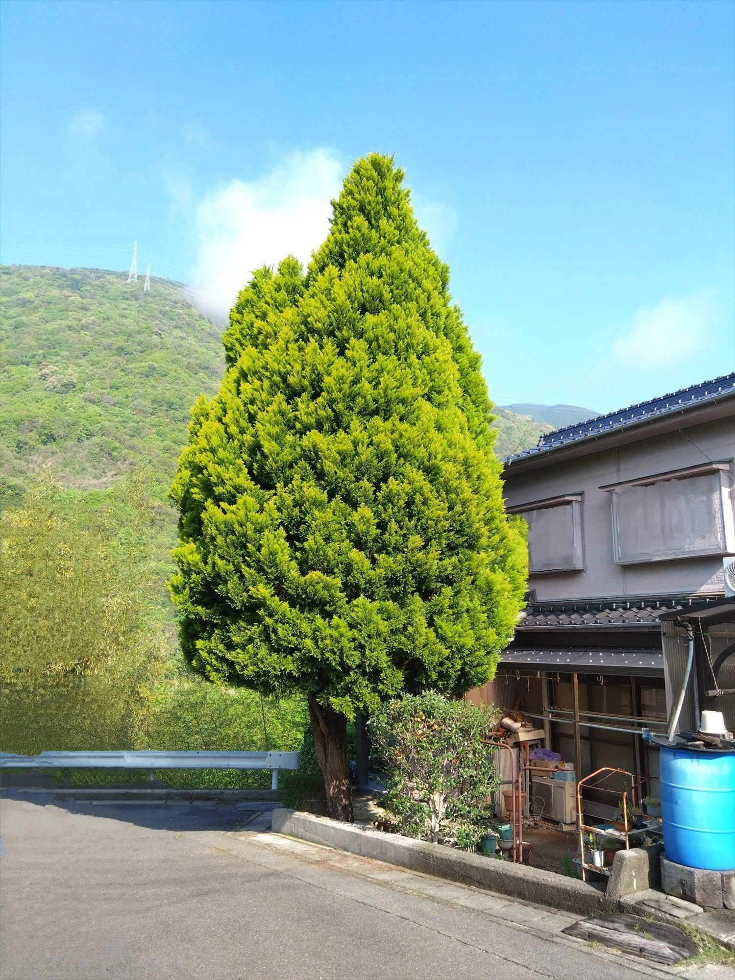キラキラ 3